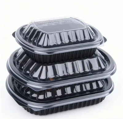 Customized Recyclable PP Flexible Plastic Microwave Safe Lunch Box with Transparent Cover for Sandwich Pizza & Salad