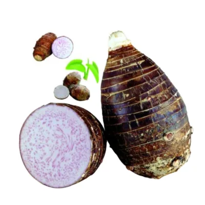 Taro Super Concentrate Fruit Flavor Liquid
