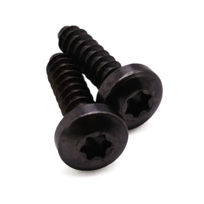 Torx Security Self-Tapping Screws, Pan Head Black Zinc Plated Tamper Proof Fasteners for Electronics & Assembly