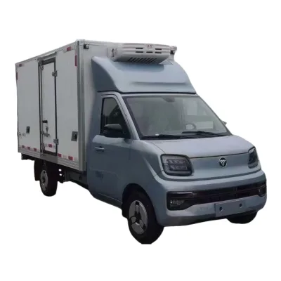 Mini Light Refrigerated Van Small Refrigerator Freezer Truck With Side Door For Food Medicine Cold Chain Transportation
