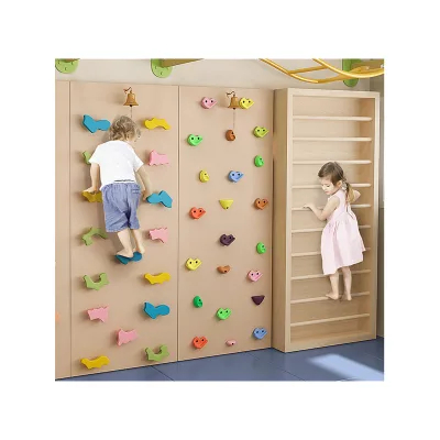 Modern Professional Indoor Outdoor Rock Climbing Wall Panels With Safety Padding for High End Commercial Shopping Mall