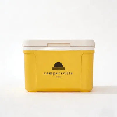 5L New Arrivals Handled Easy Carry Efficient Refrigeration Food Hard Mini Cooler Box Custom