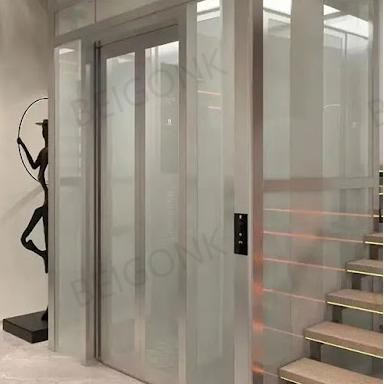 Modern Stainless Steel Villa Elevator Ascenseur Lift Gearless Traction Machine for Hotels Apartments Living Rooms Hospitals