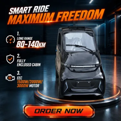 WVTA Approved EEC L6e Sedan Electric Car 4 Wheeler High Range 2 Person Single Drive for Elderly Mobility