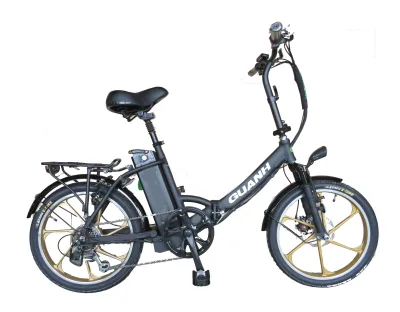20 " 350W Mag Wheel Israel Green Bike Folding Electric Bike