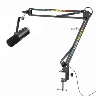 Multifunctional MicB1 Condenser Microphone With High Quality