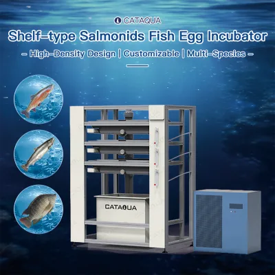 Heavy Duty Stackable Digital Fish Egg Incubator with Auto-Temperature Control for Commercial Trout Salmon Breeding Farm