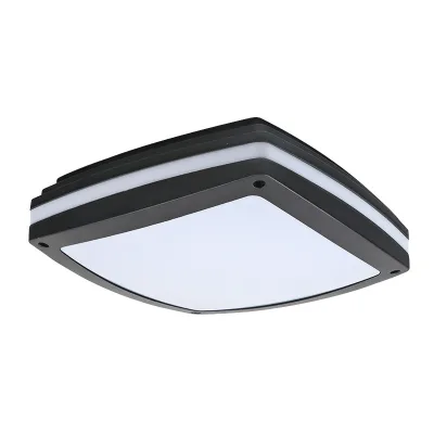 Modern Sky Lantern Outdoor Waterproof LED Motion Sensor Indoor Outdoor Simple Door Balcony Overhead Light