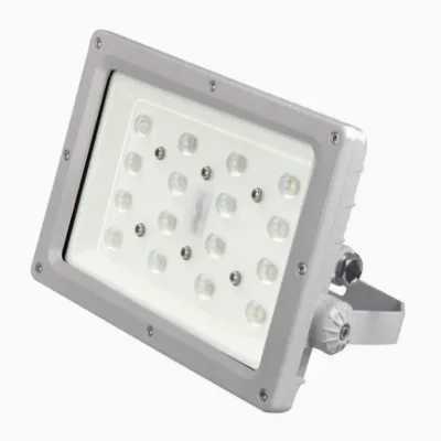 Explosion-proof Lights Maintenance-free LED Flood Light Hydropower Plant Explosion-proof Lamp Atex Anti-Corrosion