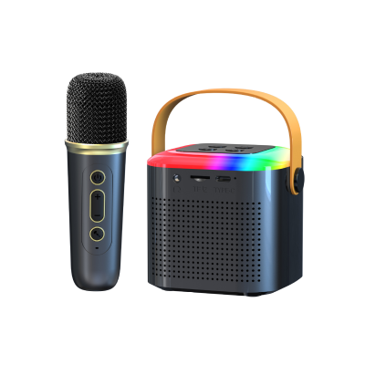 Portable LED Light Karaoke Microphone Machine with Speaker