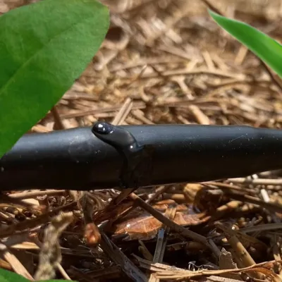 Multi-functional and Customizable Size Drip Irrigation Tape for Agricultural Irrigation