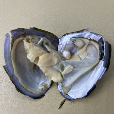 Wholesale AAA+ High Luster Natural Freshwater Cultured Pearls Loose Canister Oysters Pearls