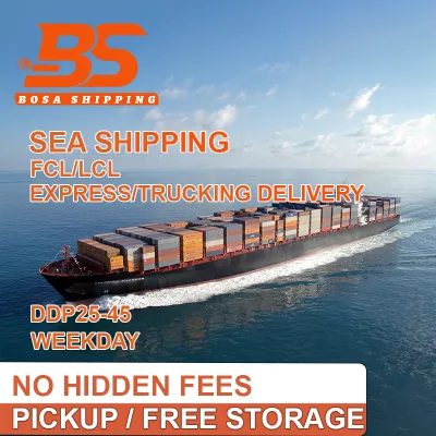 Sea Freight FCL LCL Shipping From China to Europe,USA with Free Warehousing and Cargo Consolidation
