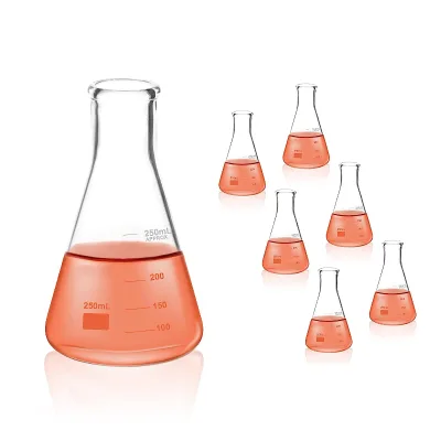 Lab 250ml Glass Erlenmeyer Flask with Stopper