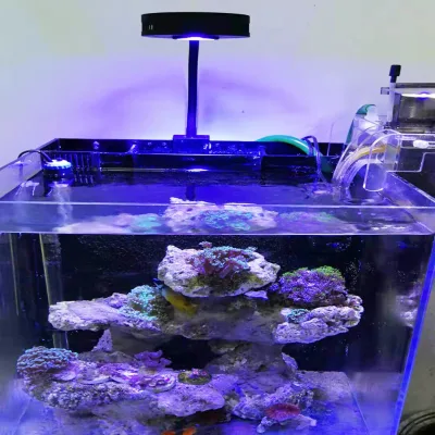 Programma Control Smart 36W Saltwater tank Light Led Aquarium Lighting