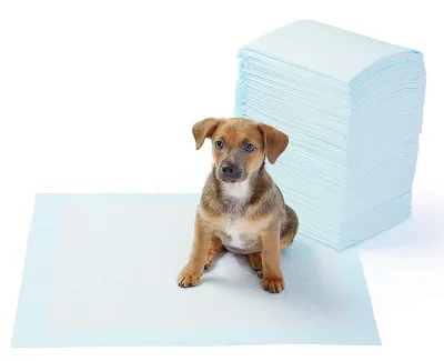 Best Selling Eco-Friendly Customized Color Multi-Size Dog Training Cool Mat & Pet Pad-Daily Use