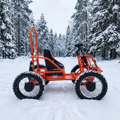 NEW Model Electric Go Karts Disc Brake 60km/h Fast Speed Long Range ALL-terrain 3000W Motors 48V60AH Battery