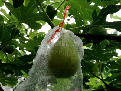 Farm Use Mesh Fruit Net Bags for Chemical-Free Crop Protection