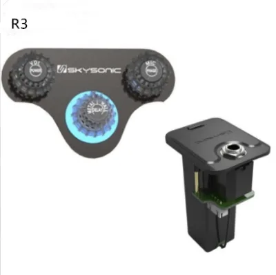 Acoustic Guitar Plus Vibration Pickup with Delay Reverberation Chorus Stringed Instrument Spare Parts Amplifier