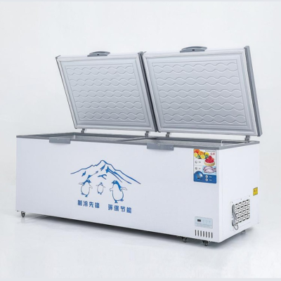 Freezer Fridge Freezer Refrigerator Supermarket Equipment Freezers