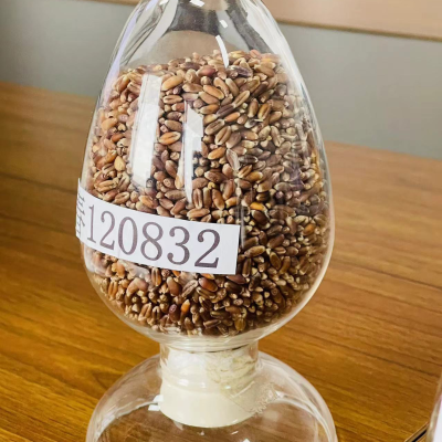 2.5kg Dark Rye Flour Wheat Without Added Grains Coarse Grains Toast Bread Baking Whole Grain Rye Flour