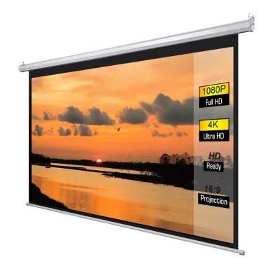 Wall Mounted Projector Screen 30 60 70 80 100 150 Inch 16:9 4:3 White Gray Black Cinema HD Projection Screen