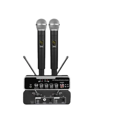 Professional Hot Selling 2-Channel Wireless Microphone System Dynamic Microphones