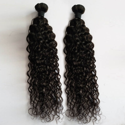 INDIAN Virgin Hair 100% Human Water Wave Curly Hair Extension