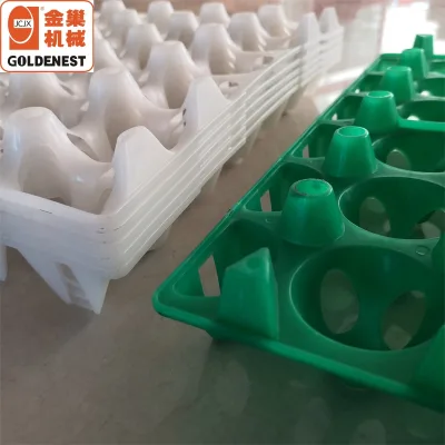 New Condition Plastic Egg Tray with Egg Crates Plastic Incubator Chicken Egg Tray Reusable Packing Crate