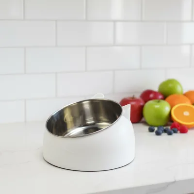 Anti-Vomiting Lightweight Portable Raised Cat Bowl Ergonomic Round Pet Food & Water Bowl Durable for Indoor Cats and Small Dogs