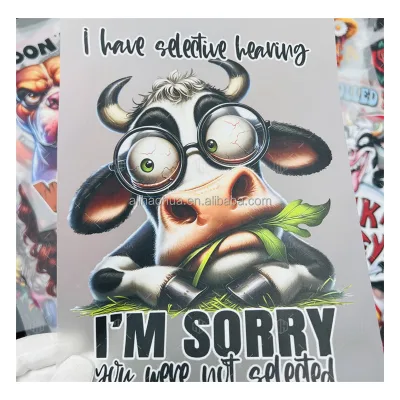 Cartoon Anime Pattern Heat Transfer Design for T-Shirt Durable PET Material Ready-to-Press Vinyl Paper Heat Transfer Printing