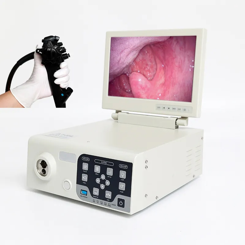 Small Animal Veterinary Endoscope with Flexible Tube and 12 Inch Display