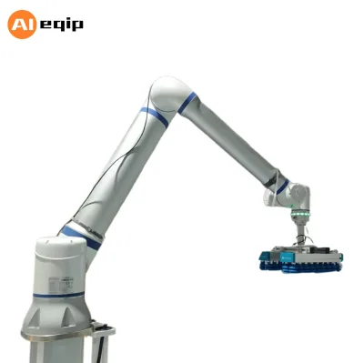 Robotic Cobot Arm 12kg 1304mm Palletizing Welding Fruit Picking Food Packaging Robot