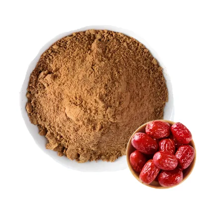 Wholesale Factory Supply Red Jujube Powder Natural Jujube Fruit Extract Food Grade 10:1