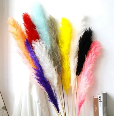 Ins Style Popular Natural Dried Flowers Large Plume Pampas Grass Preserved Flowers for Boho Home Wedding Decoration Pampas Grass