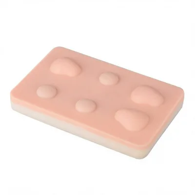Teaching Module on Skin Hardening Masses Training Module for Excision of Sebaceous and Adipose Masses Module on Skin Suturing