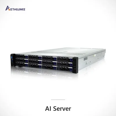 OEM 2U L6 Server Barebone 12x 3.5" Hot-Swap 25x 2.5" Ready 32 DDR4 12TB 10 PCIe 4.0 Dual Xeon for Data Center & Colocation Ready