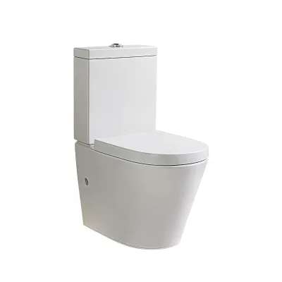 Modern 2-Piece Ceramic Washdown Toilet Water Closet for Bathroom for Contemporary Design