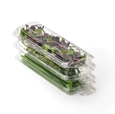 0.25 oz Top Seal Hanging Fresh Microgreen Herb Package Plastic Container Clear Clamshell Packaging for Herb