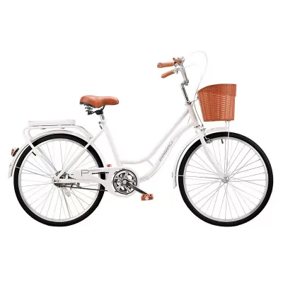 Unisex 24-Inch 21-Speed Steel Frame Mountain Bike with Fork Suspension Custom Colors Exercise Ladies
