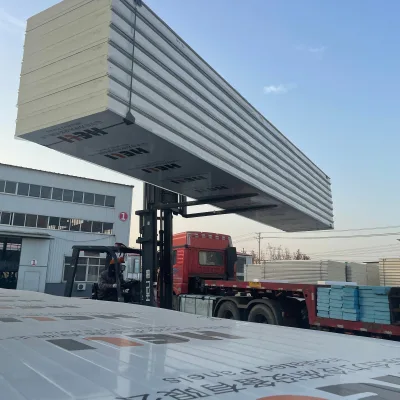 Customized Polyurethane Sandwich Panel 10 cm 15 cm 20 cm Insulated Cold Storage EPS/XPS Core for Warehouses