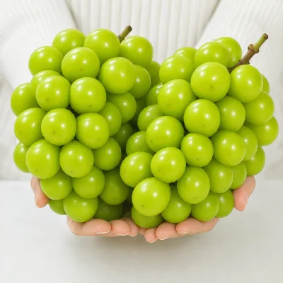 Fresh Seedless Grape Green Grape Crispy Hard Flesh Brix 18 Sunshine Rose Grape Wholesale Distributor