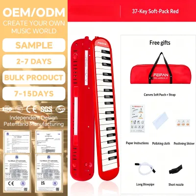 Wholesale Educational Plastic 37-Key Harmonica Hollow Hard Case Drop-Resistant LE-S37 Model 48.5x11x3.5cm Students Beginners