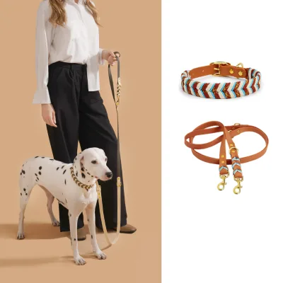 2025 Customizable Luxury Handmade Waterproof Pet Collar & Leash Braided Paracord PVC Woven Training Lights for Dogs Cats Stylish