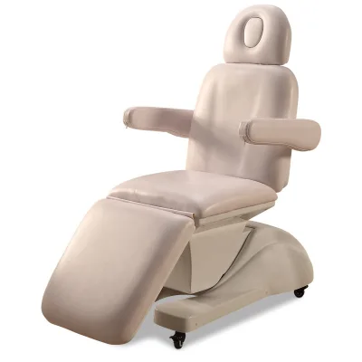Hair Salon Furniture Electric Beauty Bed Popular Folding Beauty Bed Beauty Salon Facial Chair Bed for Sale