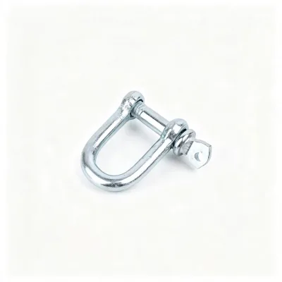 Galvanized D Shackle Carbon Steel Lifting Shackle Screw Pin Anchor Shackle for Rigging Towing Marine Hardware