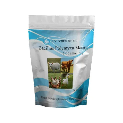 Top Selling Bacillus Polymyxa Biofertilizer in Powder Form Hot Product to Increase Crop Input