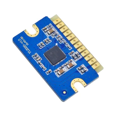 YL2020 20W+20W D-class Digital Power Amplifier Board 12V-24V Mini Power Amplifier Module
