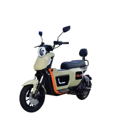 High Quality Electric Streetbikes 60V 1000W 50KM Max Speed 20AH Lead-acid Knobby Tires Rear Rack Dual Disc Brake Road Ebike