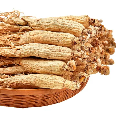 QC Premium Grade Ginseng Root Wholesale Dry Ginseng Healthy Natural Bulk Korean Ginseng Factory Supply